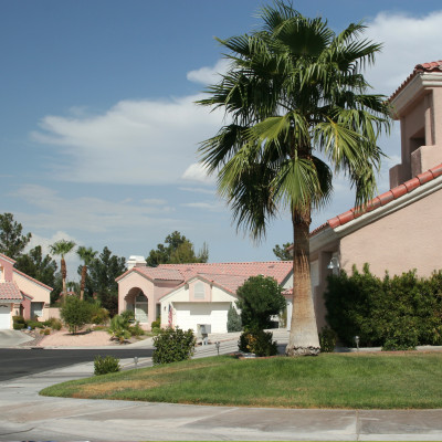 Palm Trees and Stucco in Miami, FL